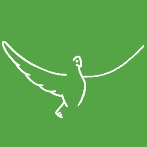 Dove-Icon-Stable-1