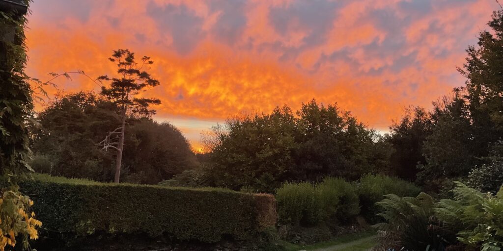 Red Sky in the morning
