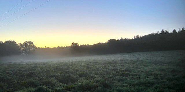 Autumn Mist