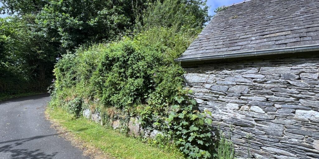 Stable Hent Gorreker hedge