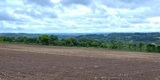 Sweeping vista